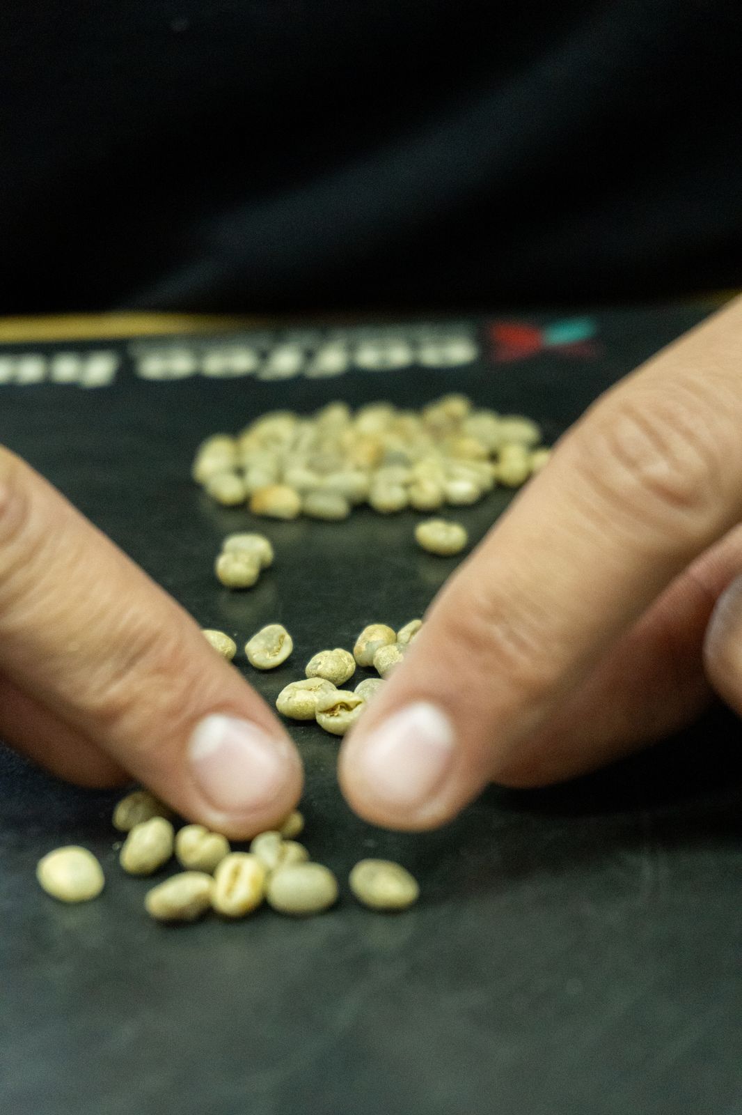 Processo de classificação de café verde no laboratório do coffee hub
