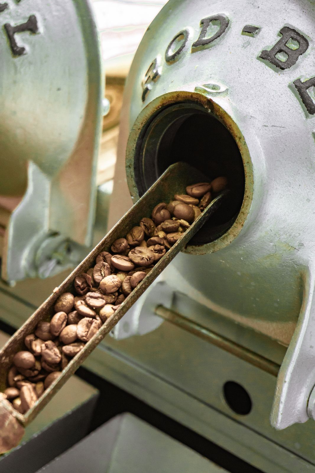 Torra de café para análise