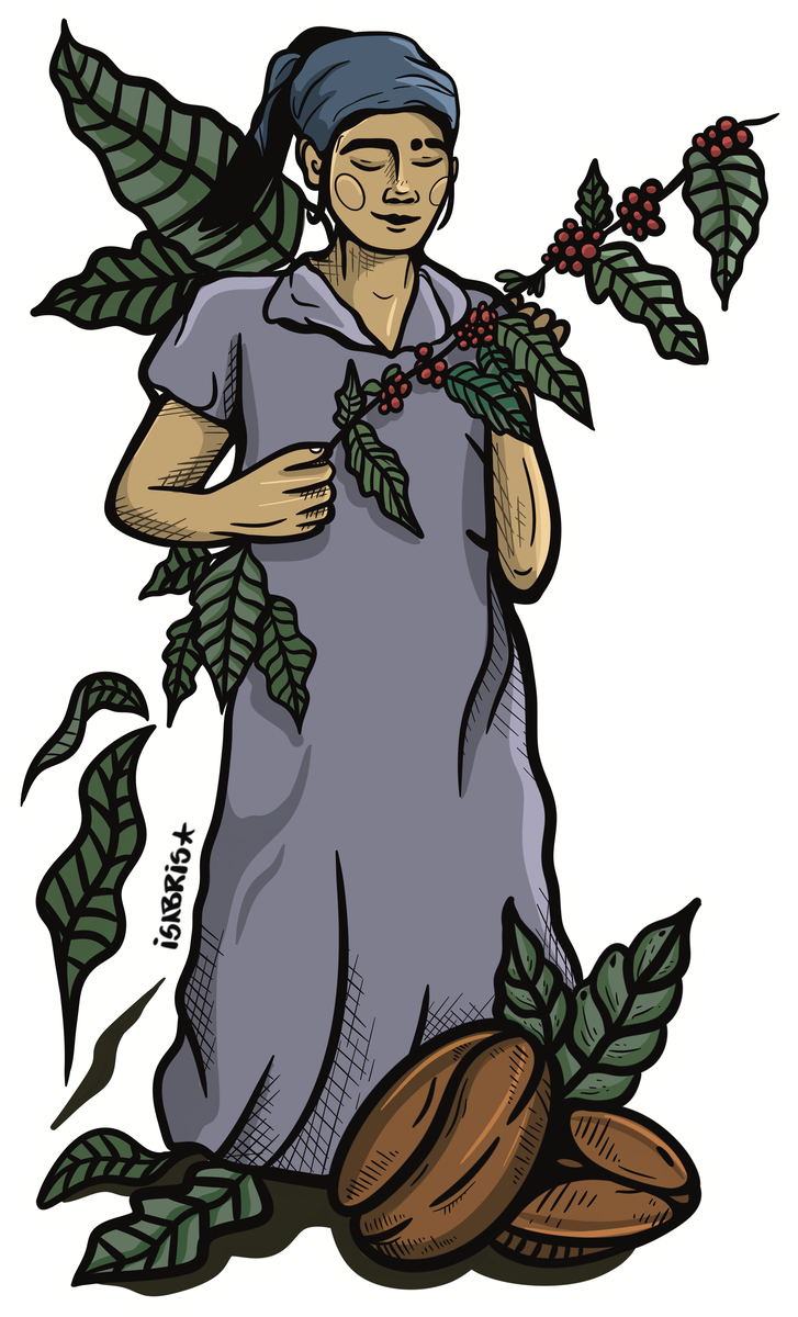 Ilustração — produtora de café
